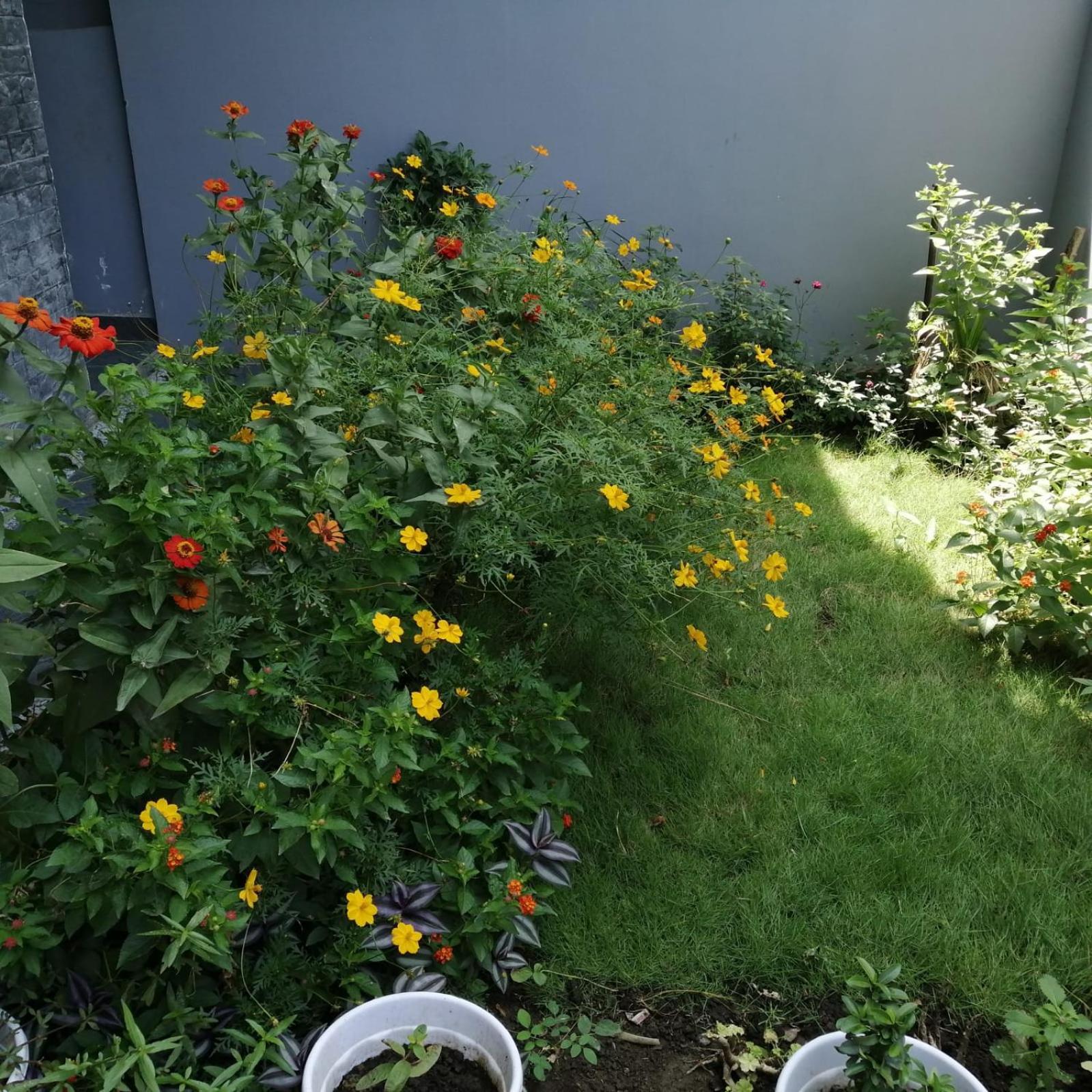 Aashiyana Home Stay 보팔 외부 사진